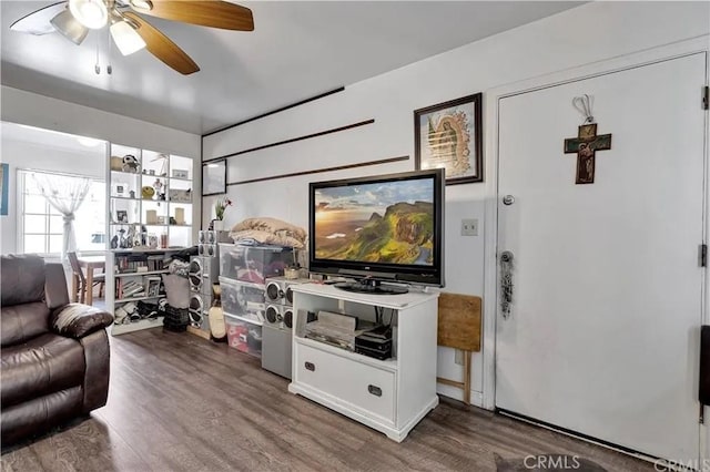 living room featuring ceiling fan and wood-type flooring