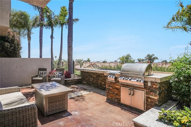 view of patio / terrace with area for grilling and grilling area