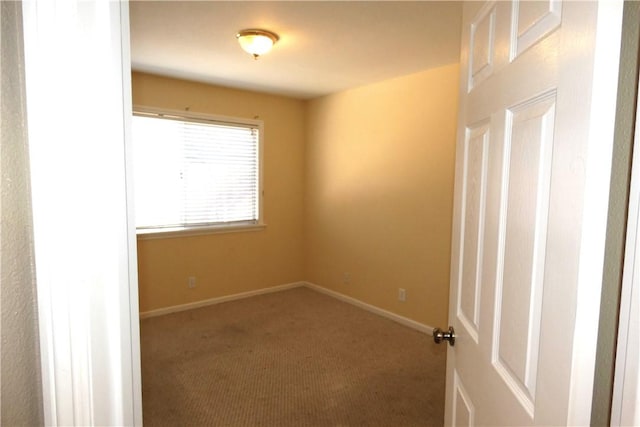 empty room featuring carpet floors