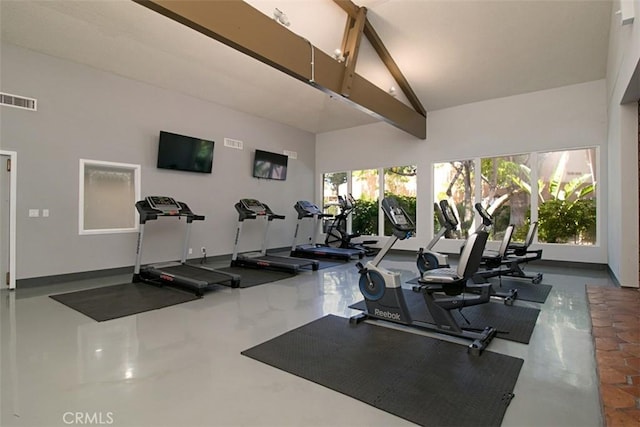 workout area featuring lofted ceiling