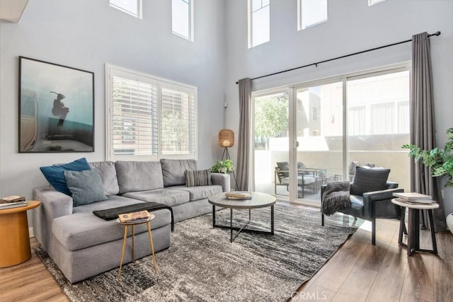 living room featuring hardwood / wood-style flooring and a high ceiling