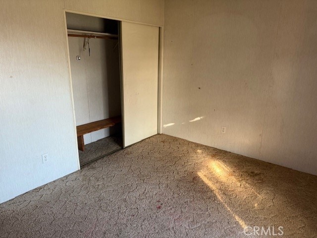 unfurnished bedroom featuring carpet floors and a closet