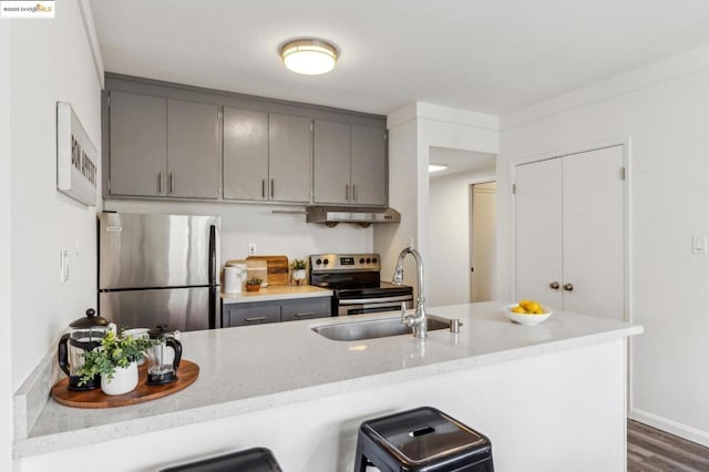 kitchen featuring sink, dark wood-type flooring, appliances with stainless steel finishes, gray cabinetry, and kitchen peninsula