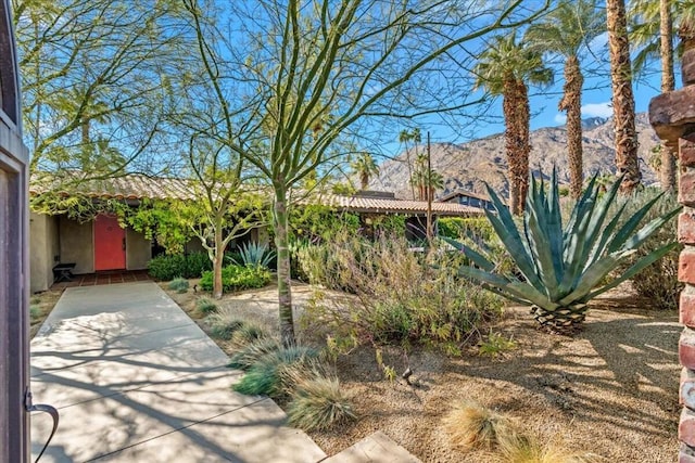 view of yard with a mountain view