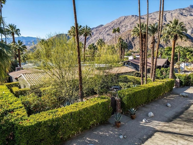 property view of mountains