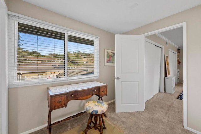 living area featuring carpet flooring and baseboards