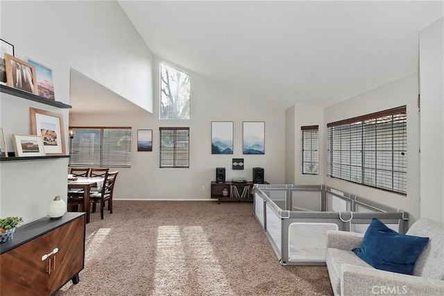 carpeted living room with high vaulted ceiling