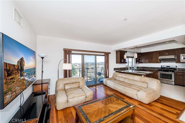 living room featuring sink and light hardwood / wood-style flooring