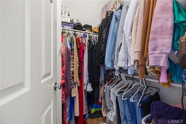 view of walk in closet