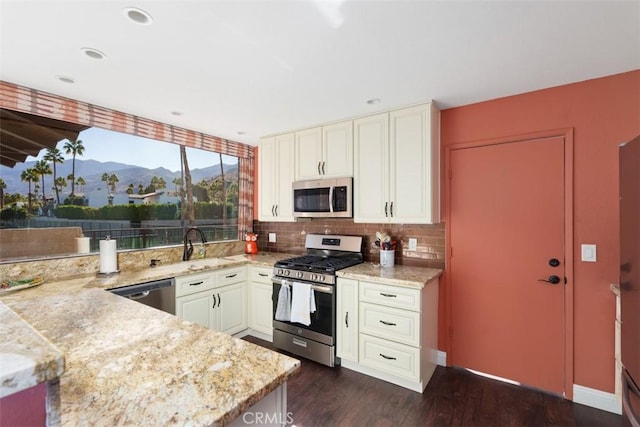 kitchen featuring dark hardwood / wood-style floors, decorative backsplash, a mountain view, stainless steel appliances, and light stone countertops