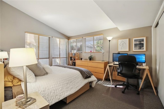 carpeted bedroom with vaulted ceiling and a closet