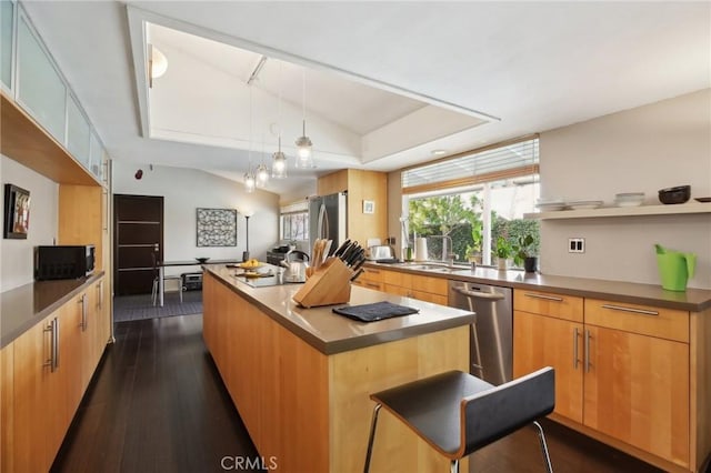 kitchen with sink, vaulted ceiling, dark hardwood / wood-style flooring, a kitchen island, and stainless steel appliances