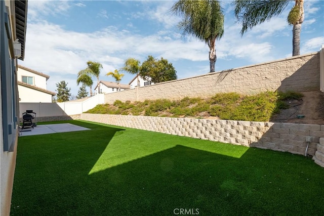 view of yard featuring a patio area