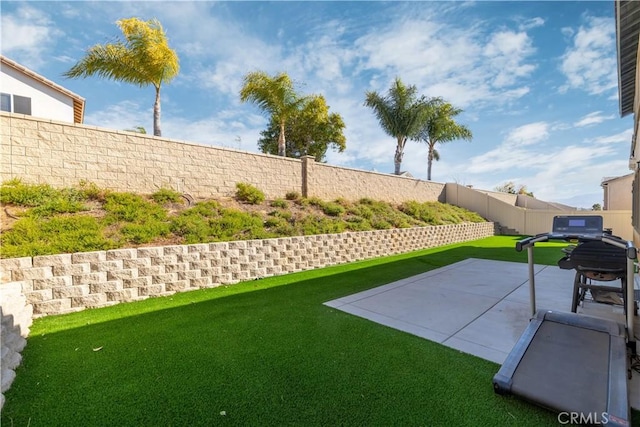 view of yard with a patio area