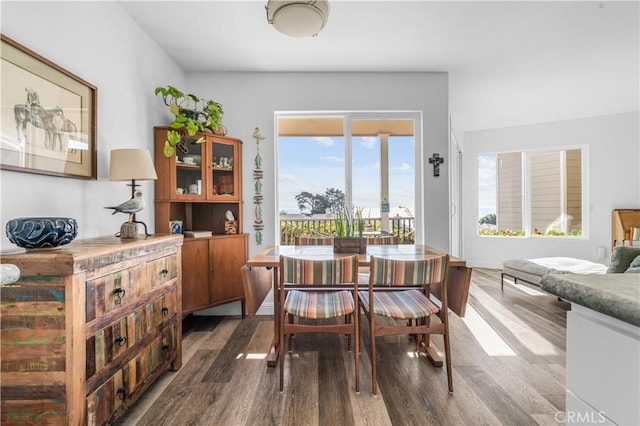 dining space with dark wood-type flooring