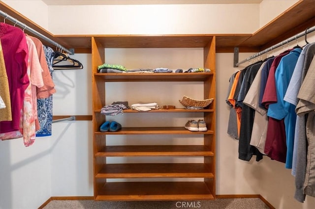 walk in closet with carpet flooring