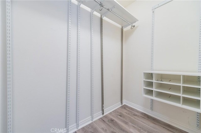 spacious closet with light wood-type flooring