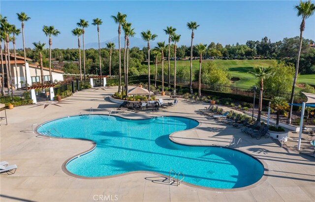 view of swimming pool with a patio