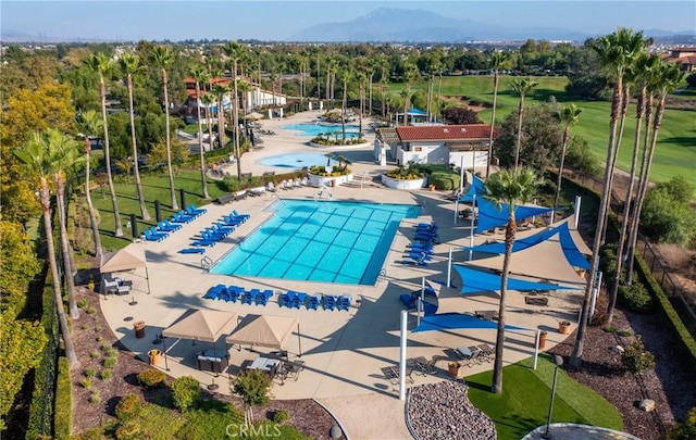 view of swimming pool featuring a mountain view and a patio