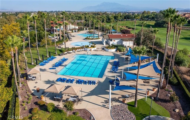 community pool featuring a patio area