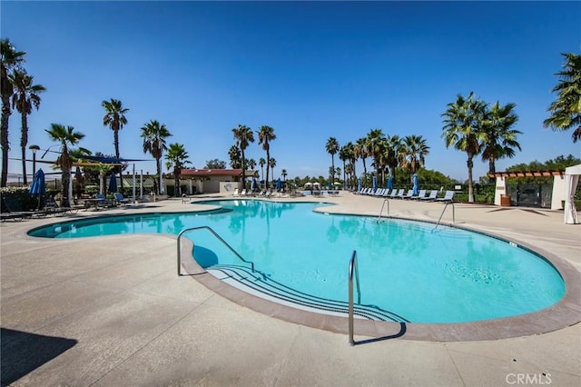 view of pool with a patio area