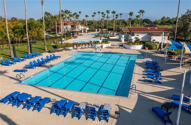 view of pool with a patio area