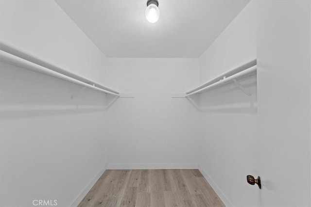 walk in closet featuring light hardwood / wood-style floors