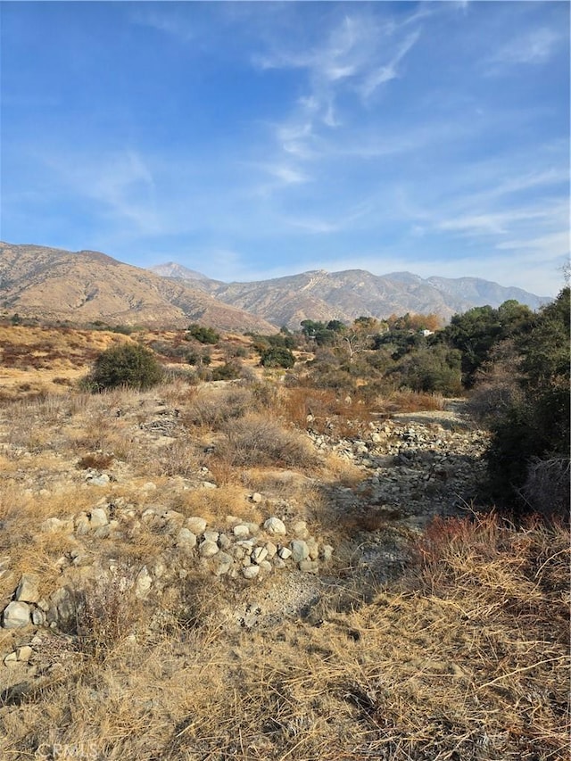 Listing photo 3 for 0 Yucaipa Ridge Rd, Yucaipa CA 92399