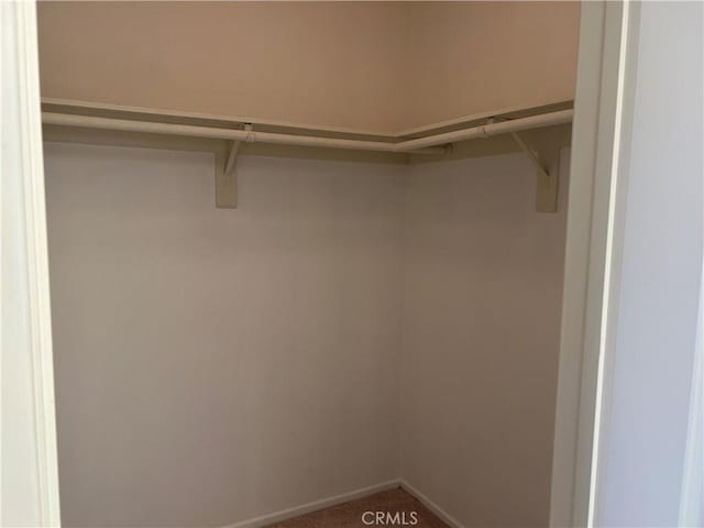 walk in closet with carpet