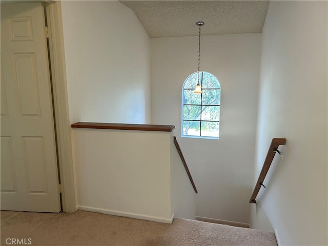 stairs featuring carpet and a textured ceiling