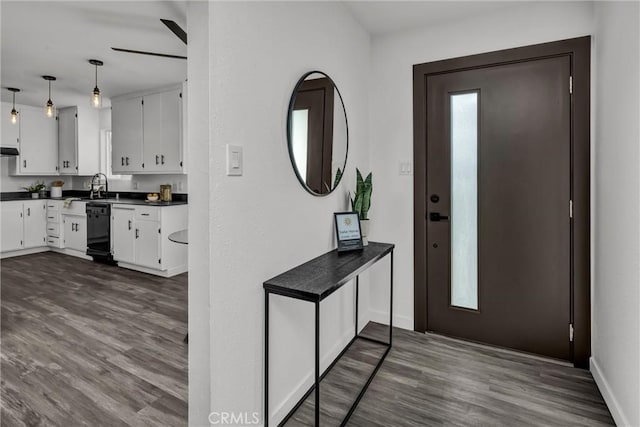 foyer entrance featuring sink and hardwood / wood-style floors