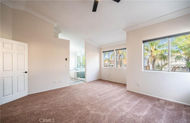 empty room with crown molding, carpet floors, and ceiling fan