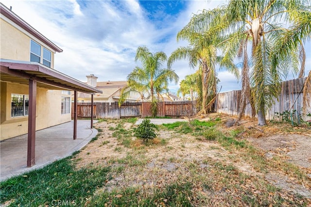 view of yard with a patio area