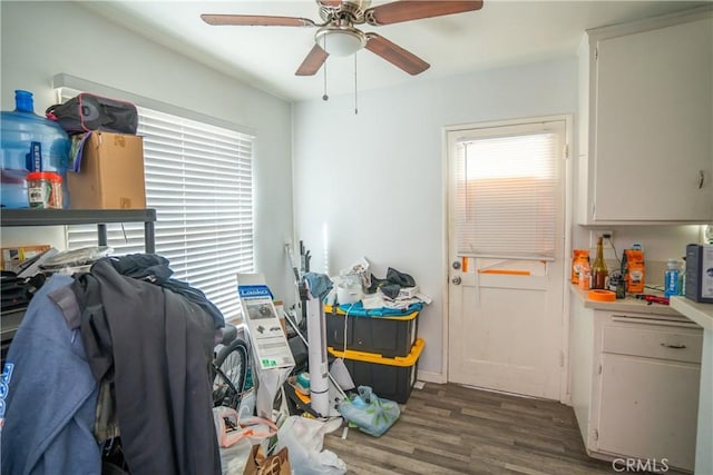 miscellaneous room with dark hardwood / wood-style floors and ceiling fan