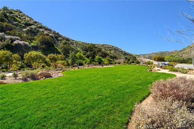 view of yard with a mountain view