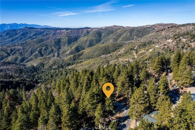 birds eye view of property featuring a mountain view