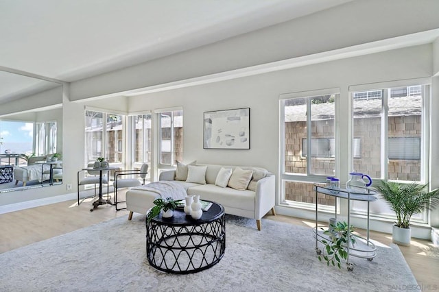 living room with wood-type flooring and a wealth of natural light