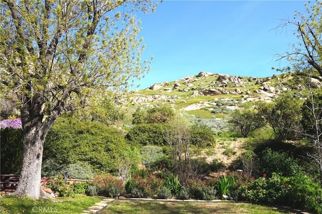 view of mountain feature