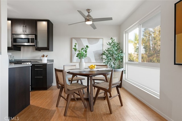 dining space featuring light hardwood / wood-style flooring and ceiling fan