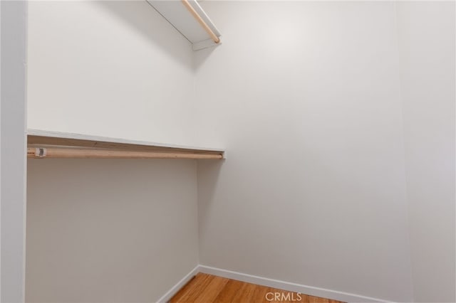 walk in closet with wood-type flooring