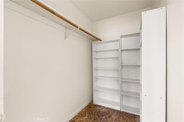 walk in closet with dark carpet