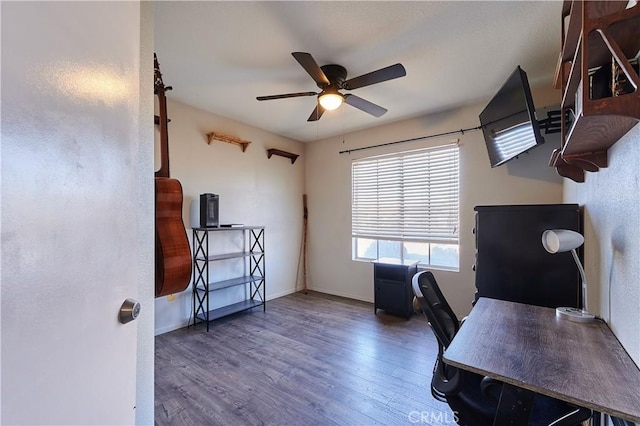 home office with ceiling fan and dark hardwood / wood-style flooring