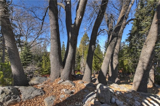 view of local wilderness