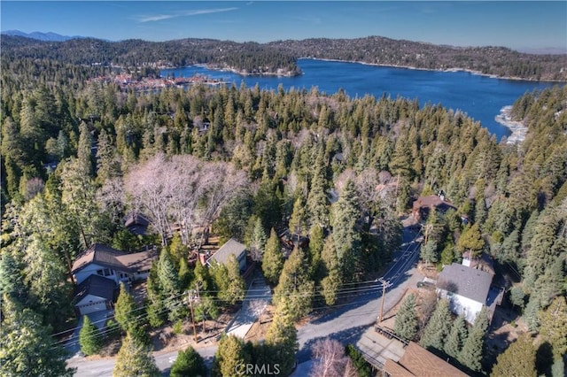 drone / aerial view with a water and mountain view