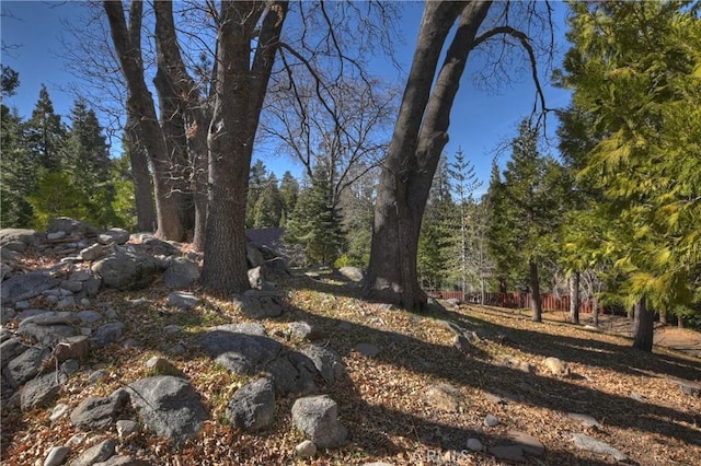 28621 Shenandoah Dr, Lake Arrowhead, CA 92352 - view of yard