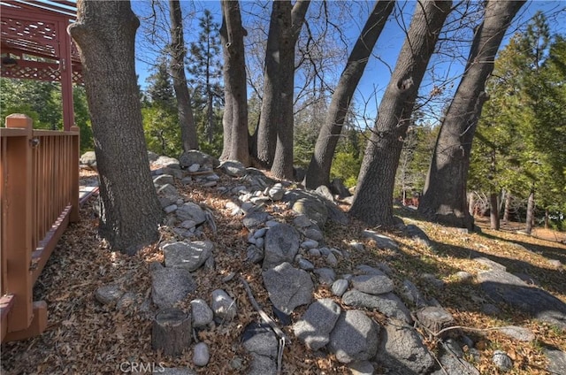 28621 Shenandoah Dr, Lake Arrowhead, CA 92352 - view of yard