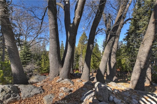 28621 Shenandoah Dr, Lake Arrowhead, CA 92352 - view of nature