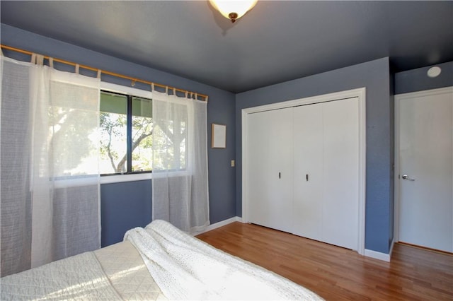 bedroom with hardwood / wood-style flooring and a closet