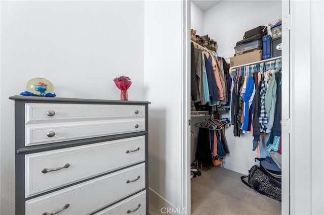 spacious closet featuring light colored carpet