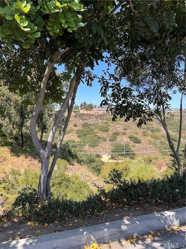 view of yard featuring a rural view